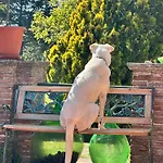 Della Fiamma Bed and breakfast Gubbio