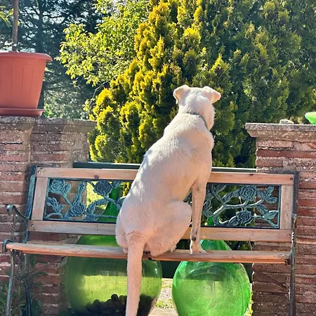 Della Fiamma Bed & Breakfast Gubbio