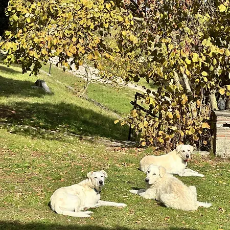 Nocleg ze śniadaniem Della Fiamma *