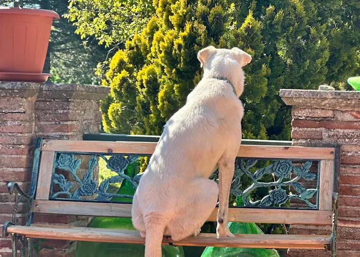 Della Fiamma Bed & Breakfast Gubbio