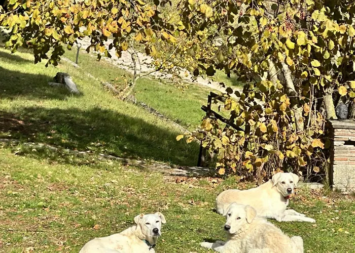 Panzió Della Fiamma *